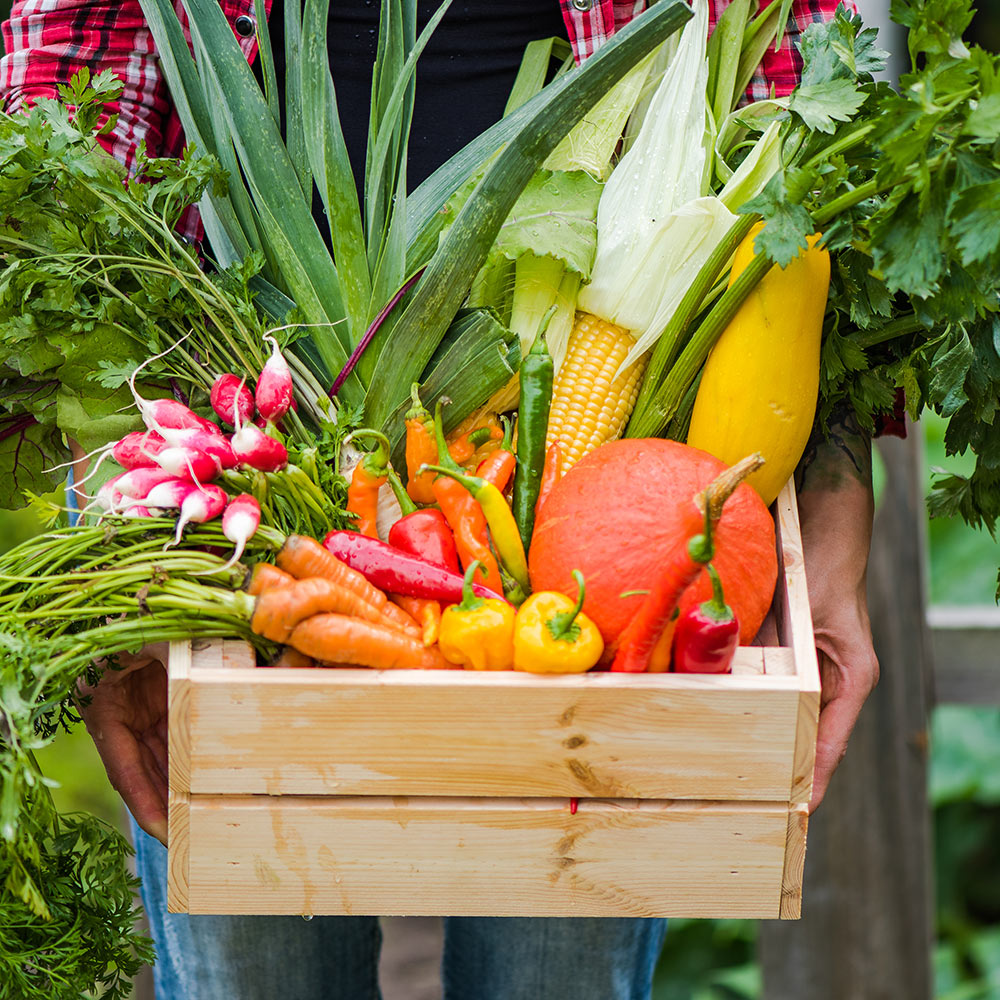 Fresh vegetable harvest crate